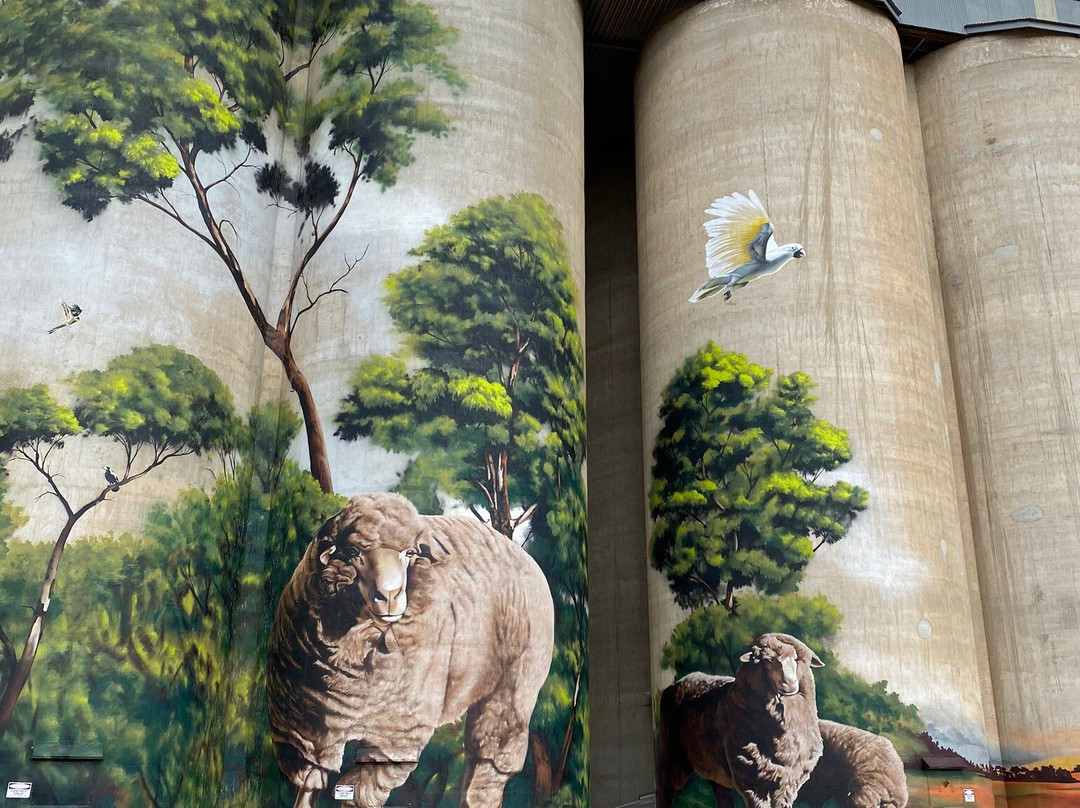 Karoonda Silo Art-Karoonda必去景点