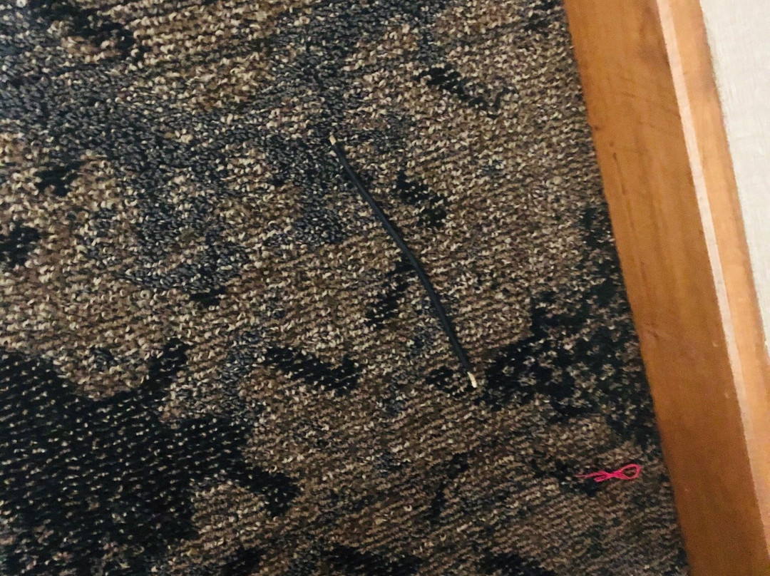 Best Western Windsor Inn主图