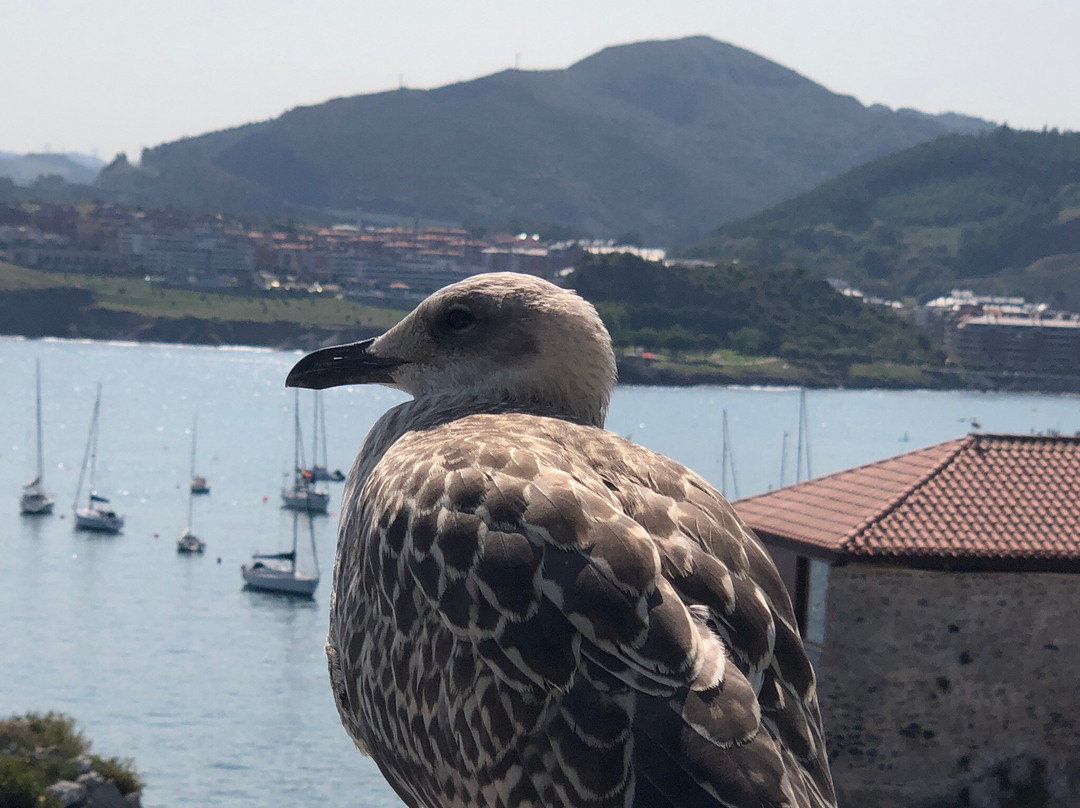 Real Club Náutico De Castro Urdiales
