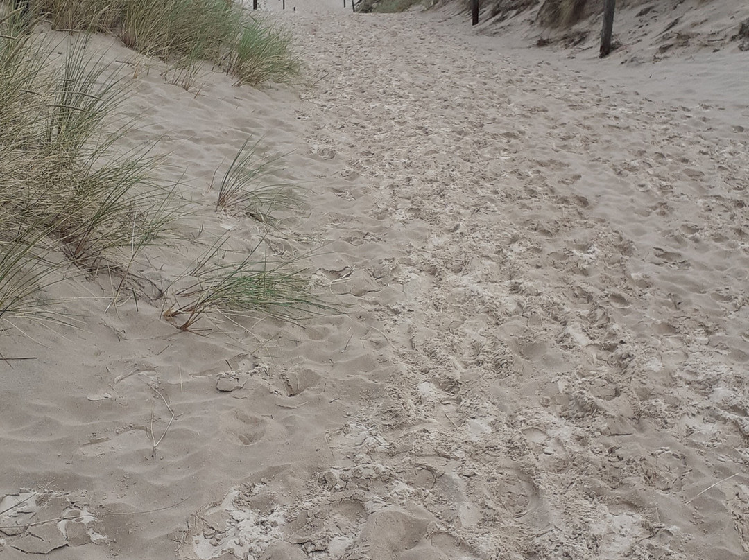 Czappińska Dune景点图片