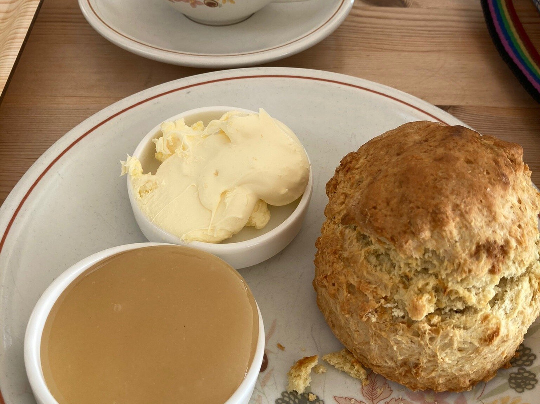 Blackbury Honey Farm-Colyton必去景点