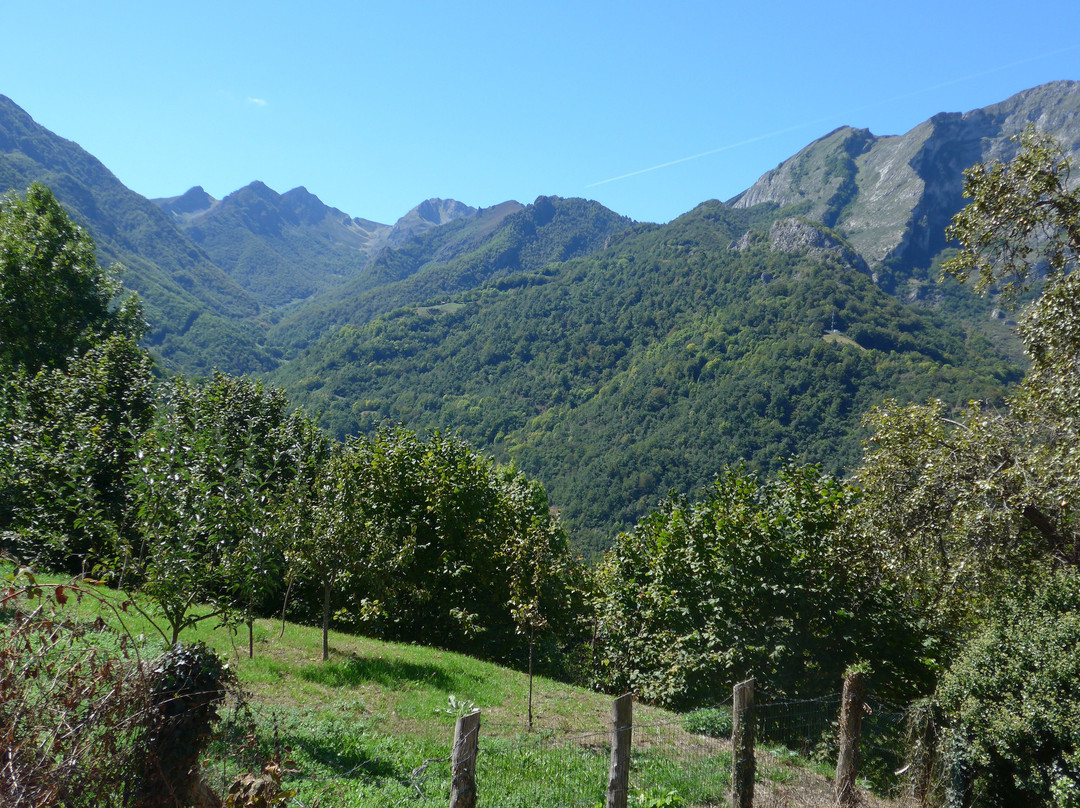 Hostal Les Bedules主图