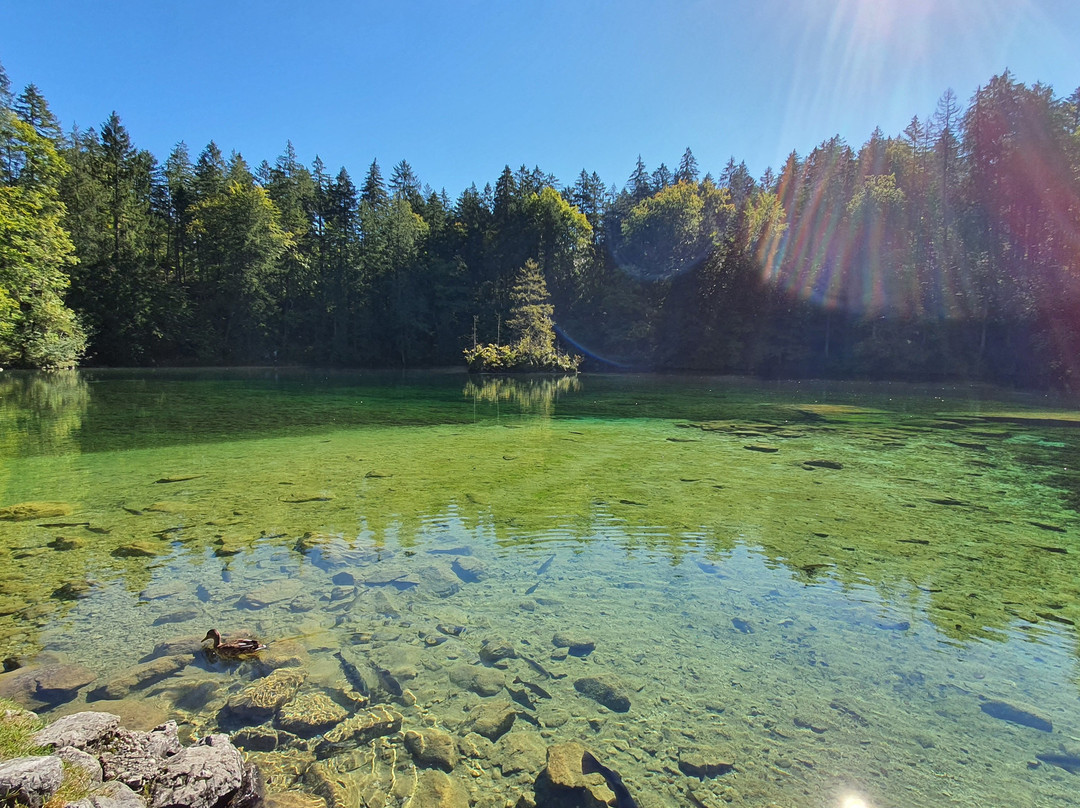 Badersee-Grainau必去景点