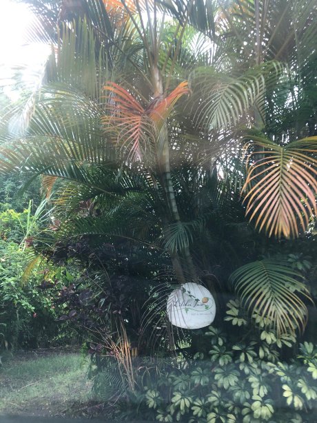 丽丽科伊客栈-官方