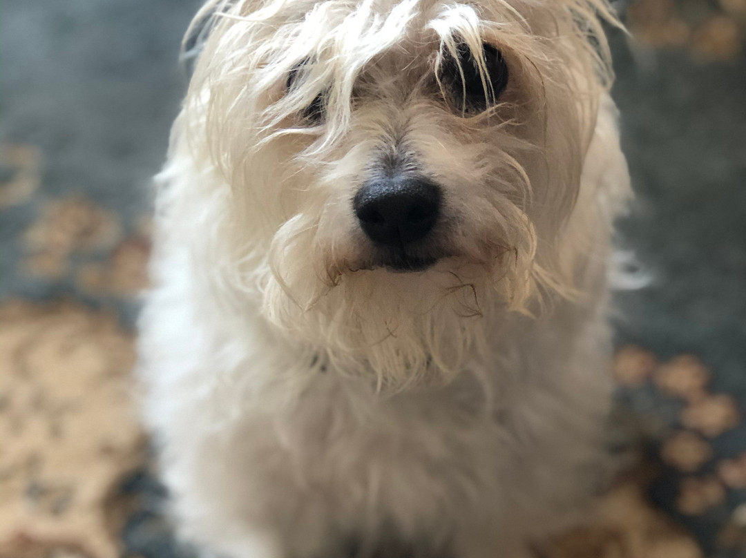 Polbrean House主图