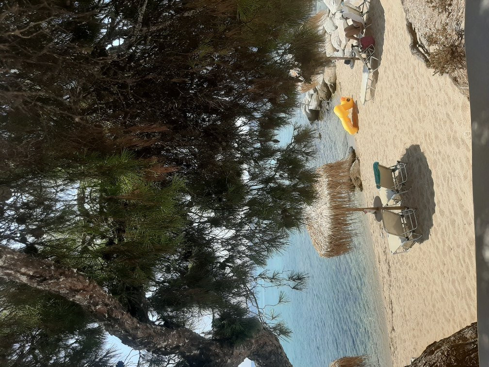 Isla Beach Bar-Nikiti必去景点