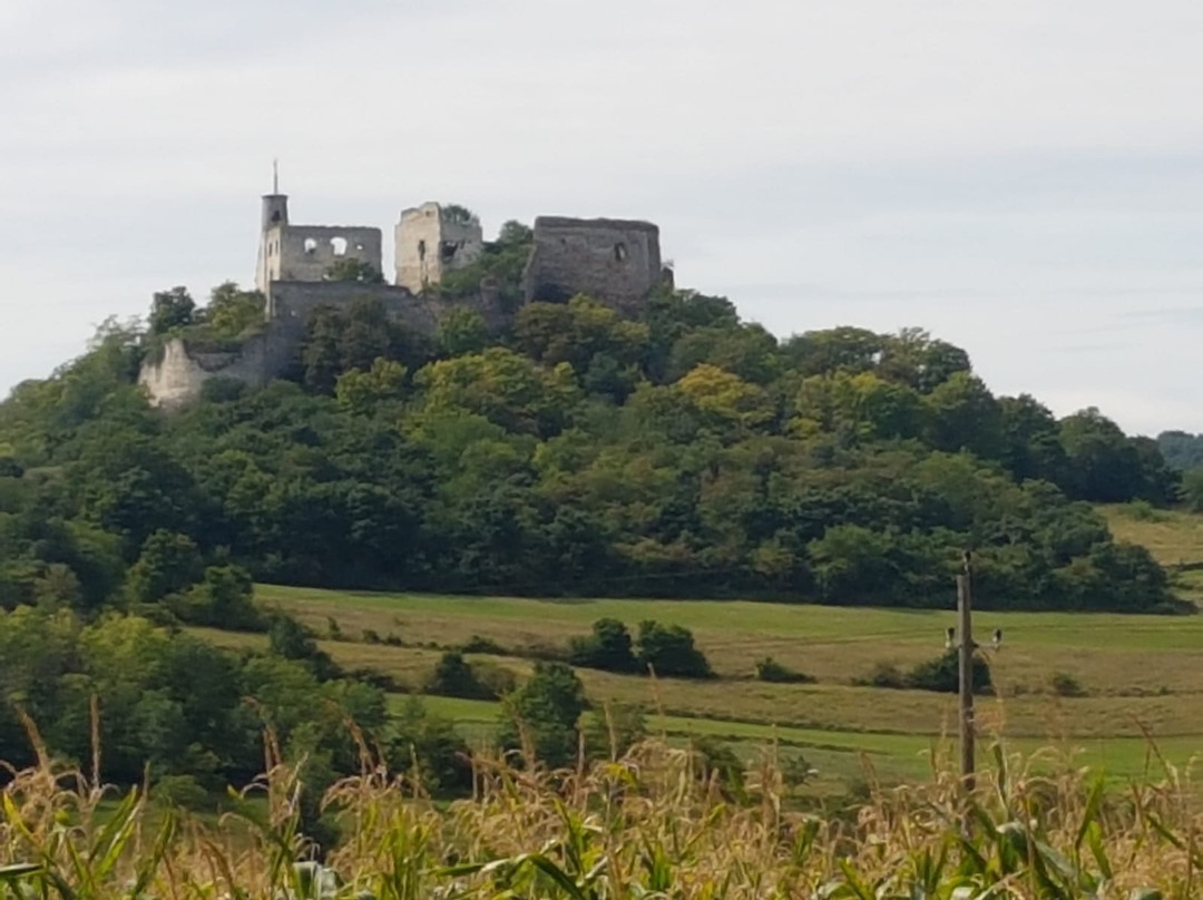 Falkenstein Castle景点图片