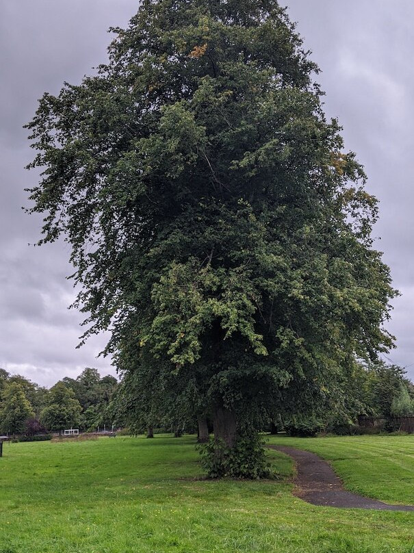 Bothwell Road Park景点图片