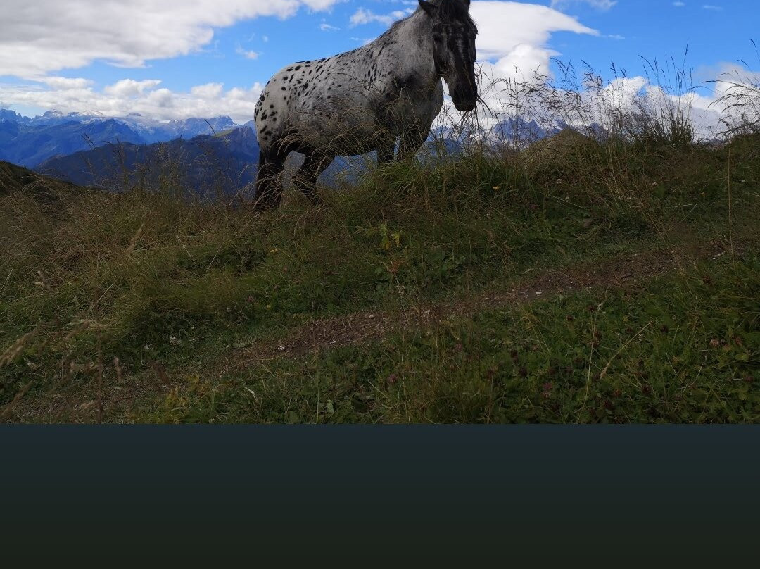 Passo Di Giau-Colle Santa Lucia必去景点