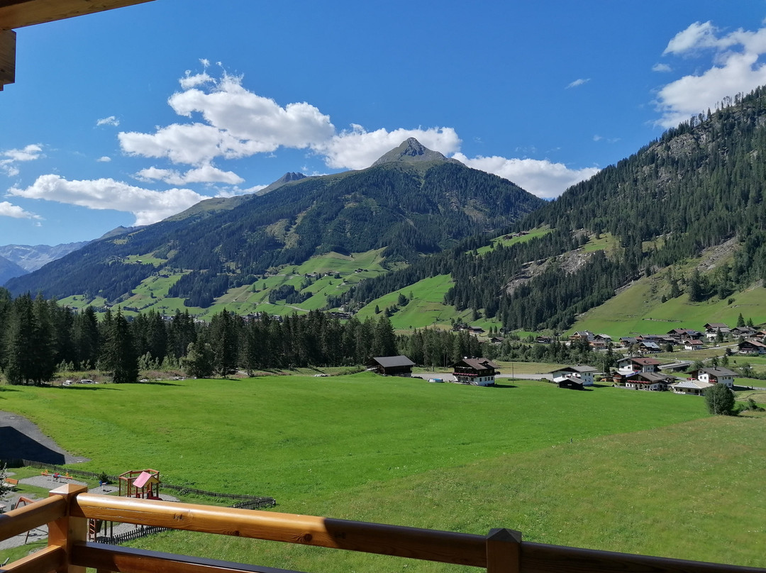 Alpinhotel Jesacherhof Gourmet & Spa主图