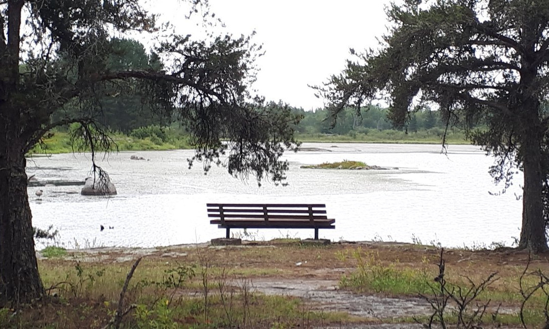 Alfred Hole Goose Sanctuary and Visitor Centre-Rennie必去景点