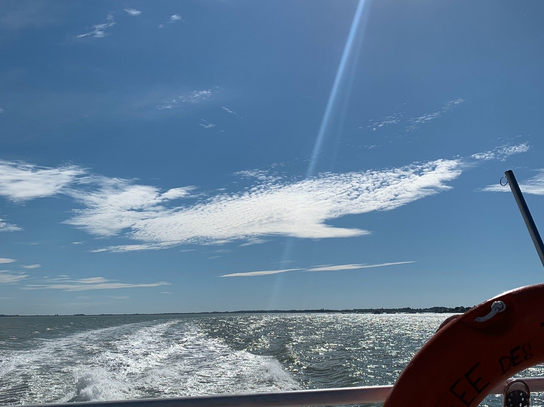 Croisieres Fourasines-Port-des-Barques必去景点