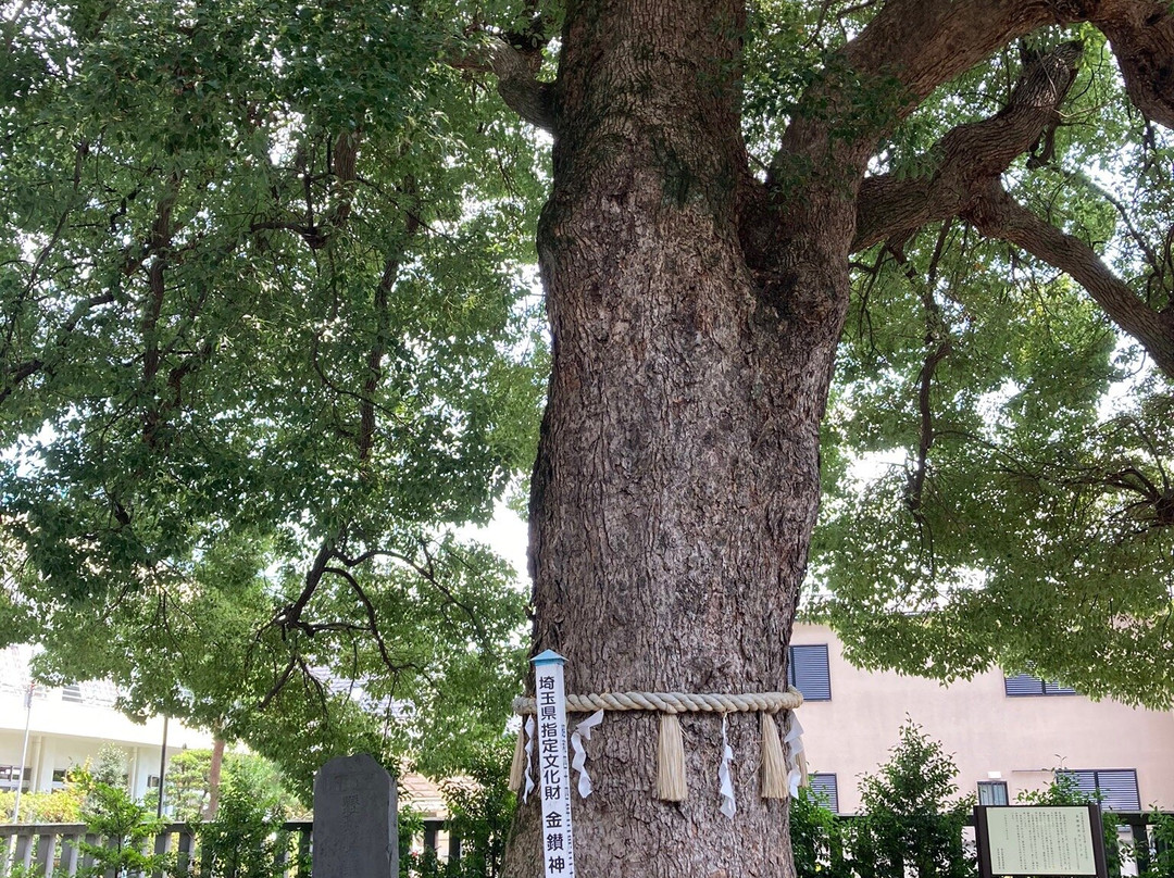 Kanasana Shrine-本庄市必去景点