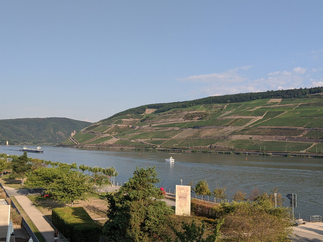 Papa Rhein Hotel主图