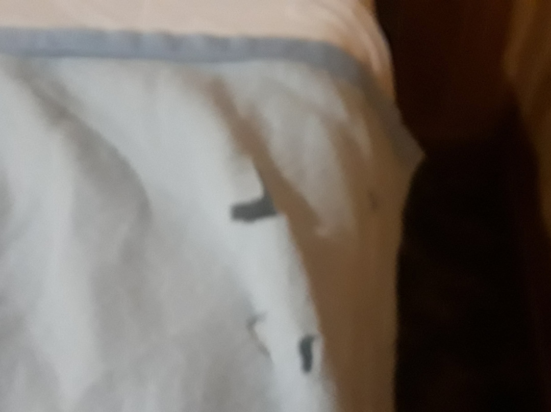 Contessa Resort主图