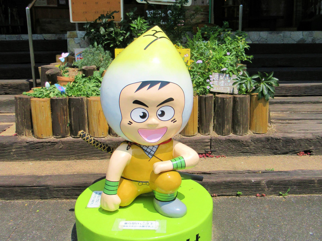 Chicory Village-中津川市必去景点