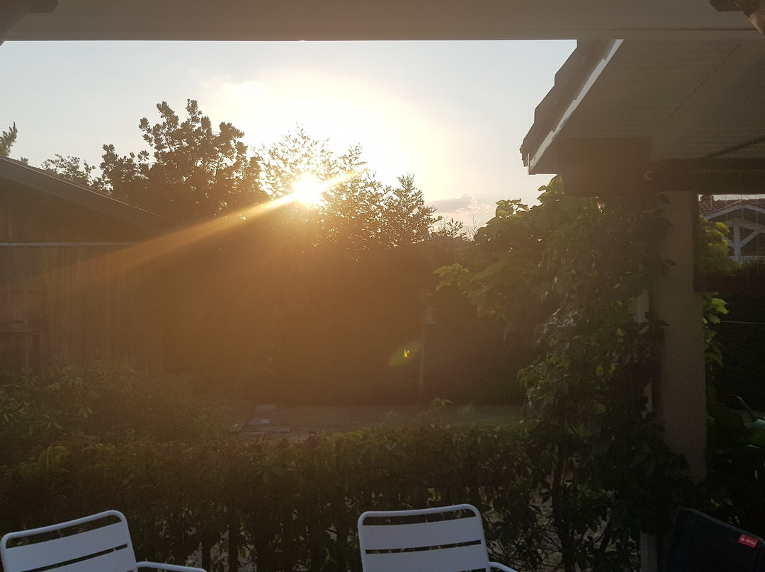 Les Arums de Sanguinet主图