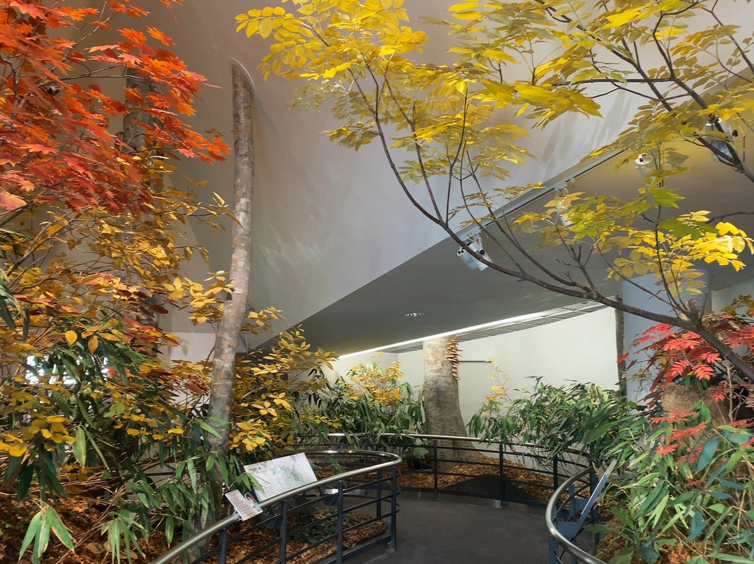 Toyama Prefectural Tateyama Museum-立山町必去景点