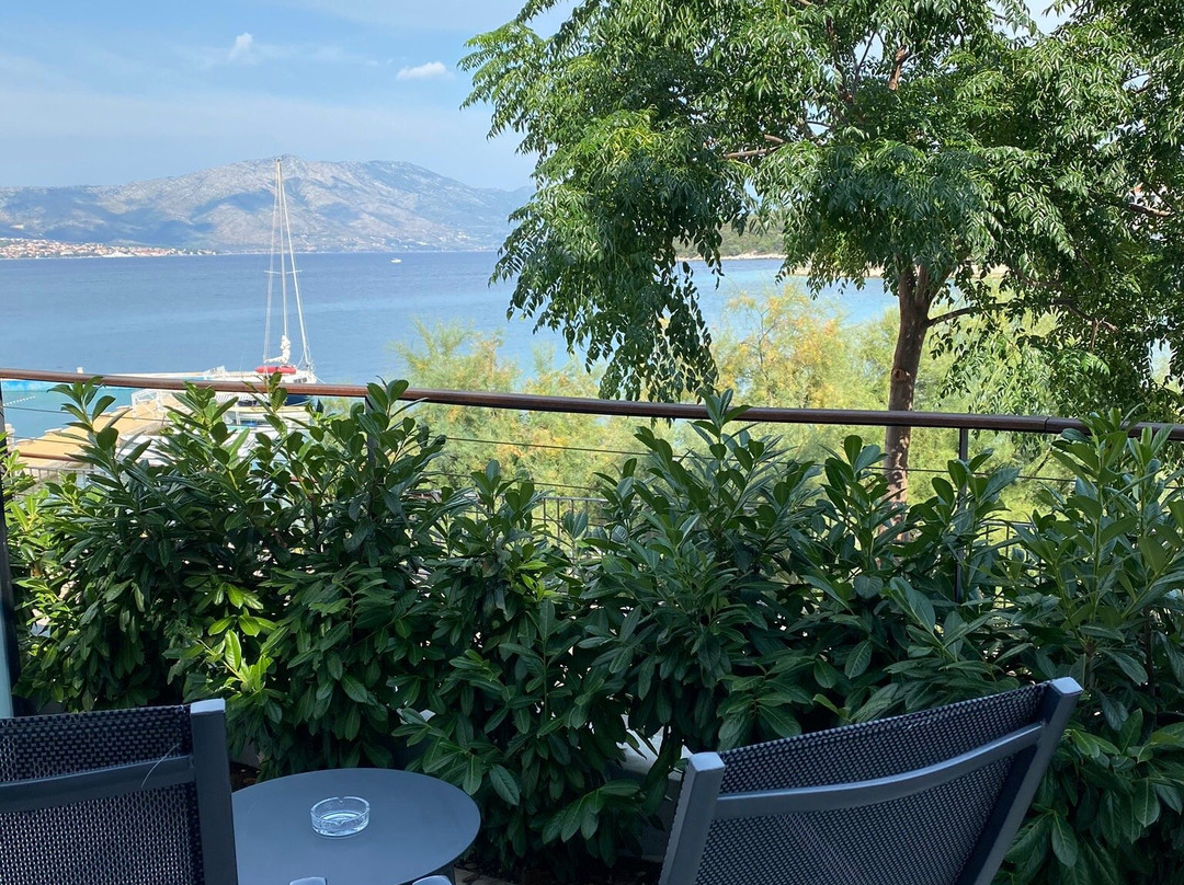 科萨尔酒店主图