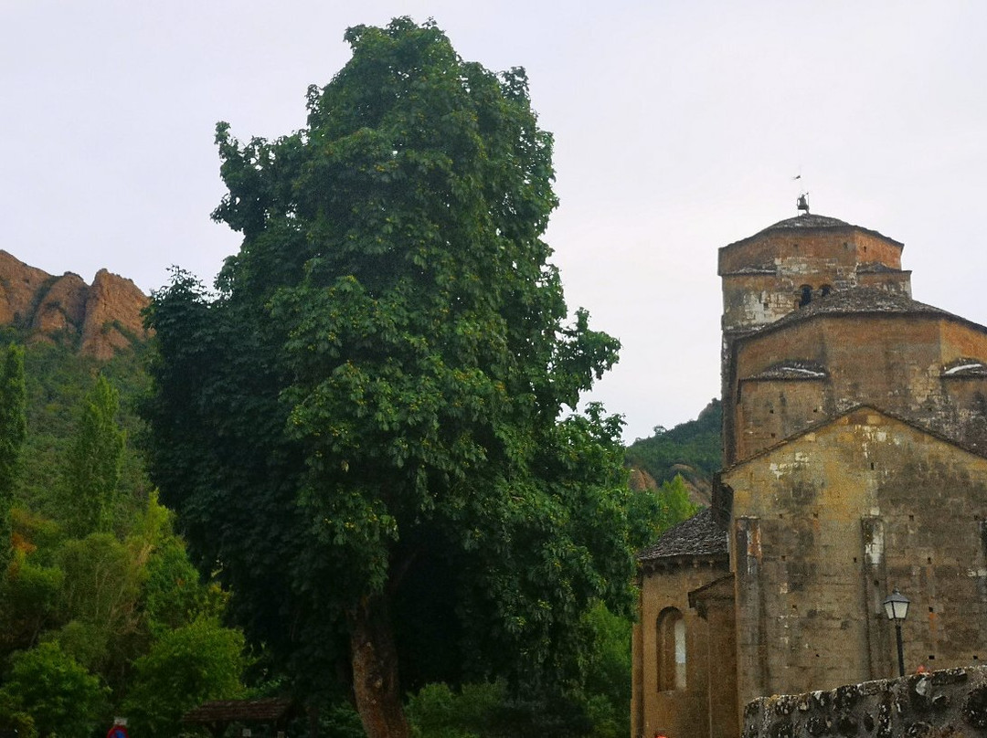 Santa Cruz de la Seros景点图片