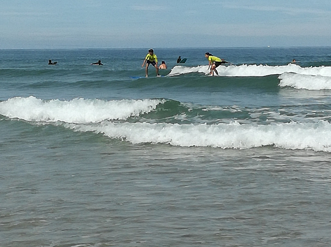 Kiwadu Surf School景点图片