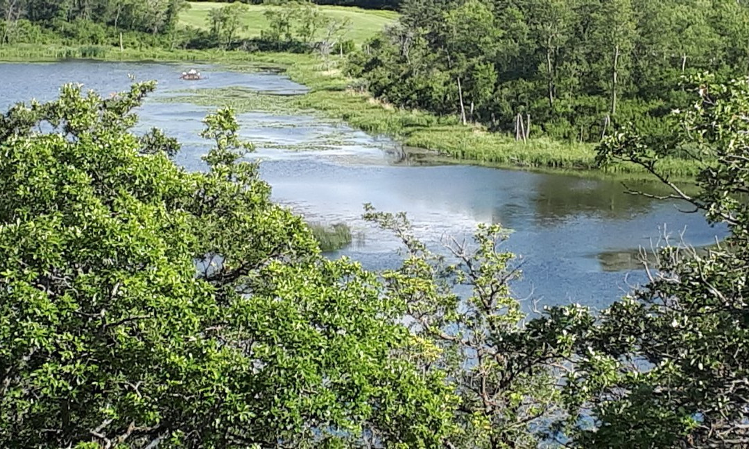 Tommy Turtle Statue-波伊斯维因必去景点