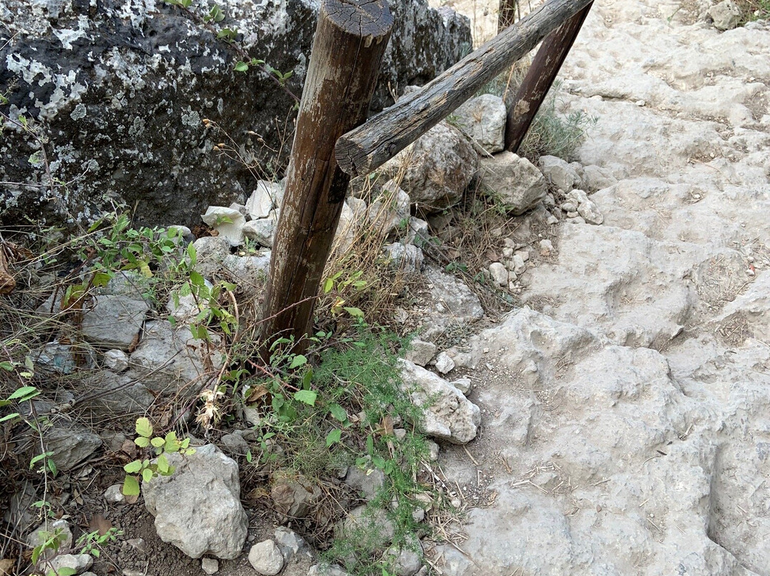 Cavagrande del Cassibile景点图片