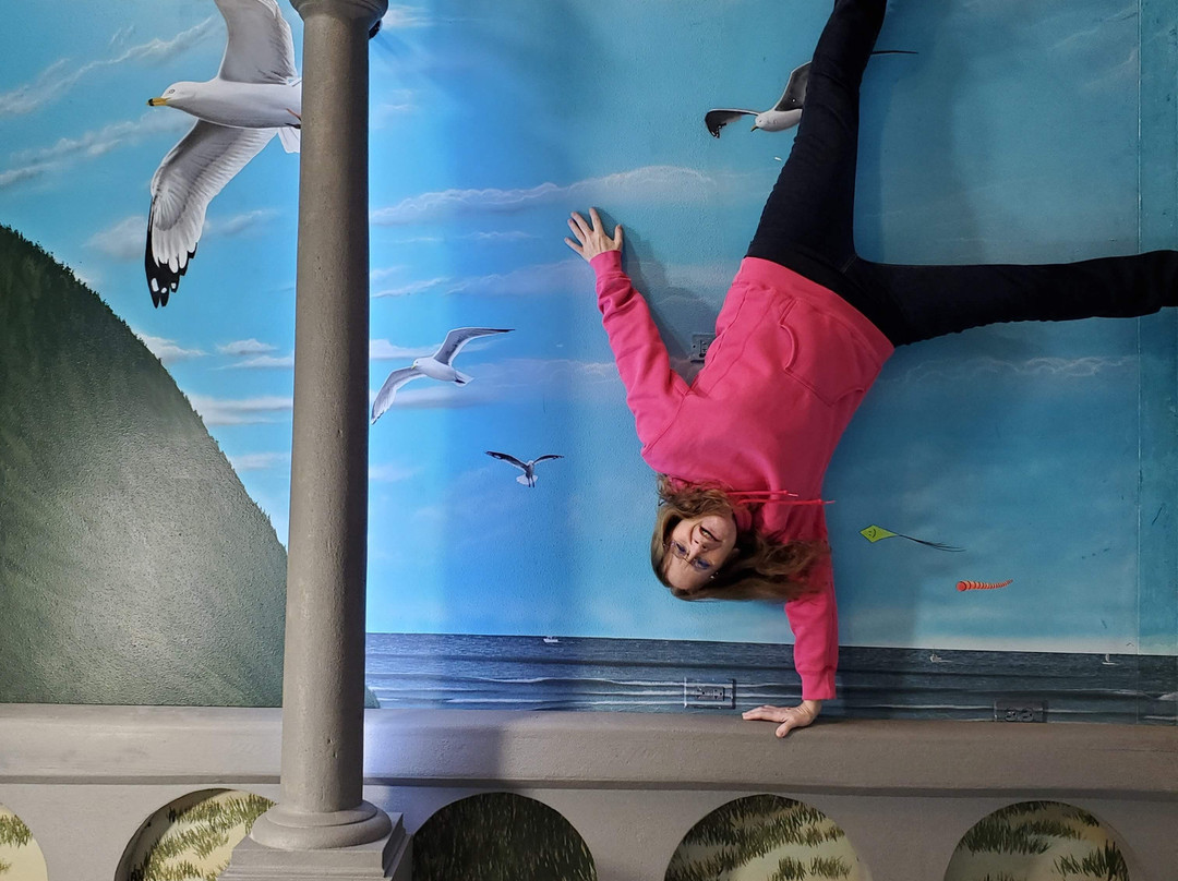 Seaside Inverted Experience-锡赛德必去景点