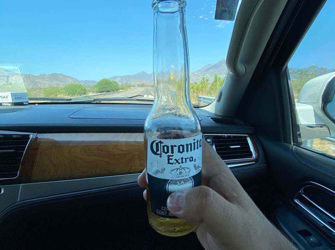 The Cape Transfers-卡波圣卢卡斯必去景点