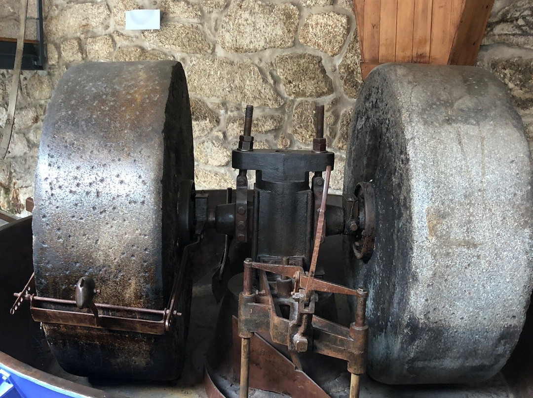 Museu do Azeite, Belmonte景点图片