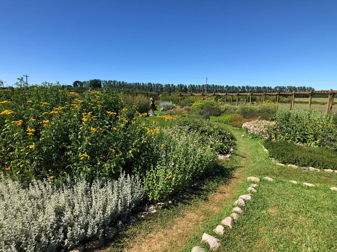 Cherry Point Farm and Market景点图片