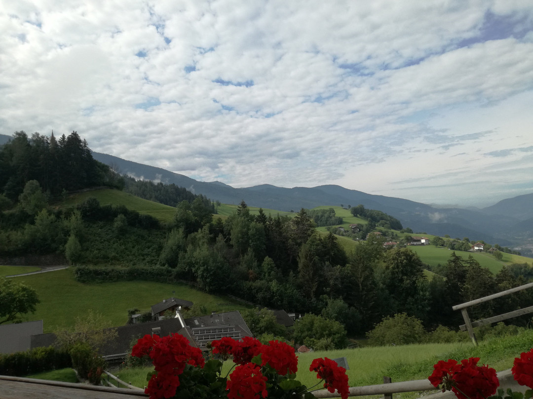 Torgglerhof Hotel主图