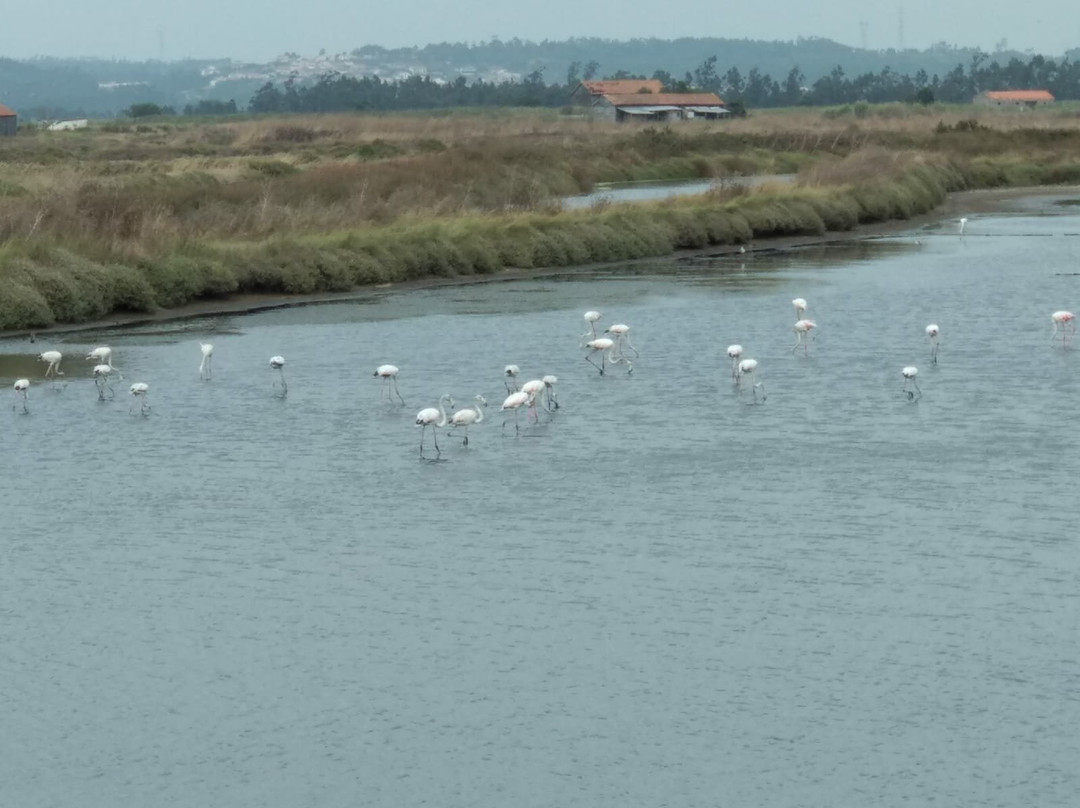 Pescodromo de Lavos景点图片