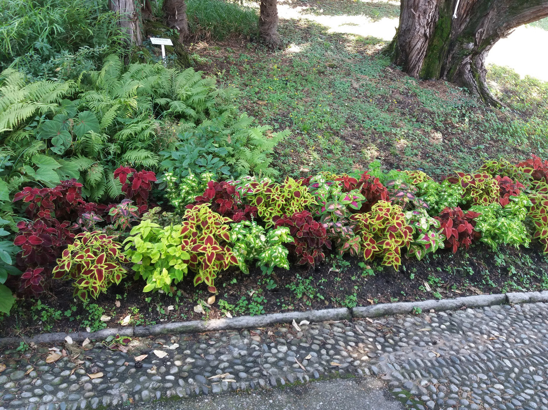 Orto Botanico-Valmadrera必去景点