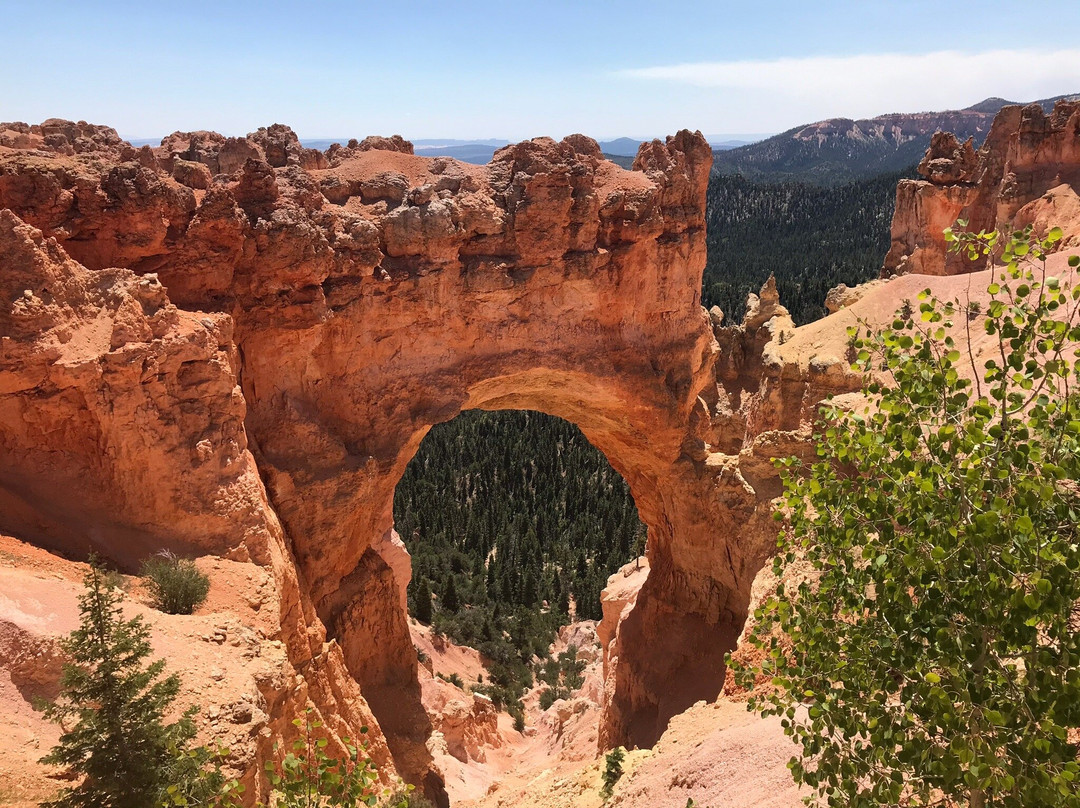 Natural Bridge景点图片