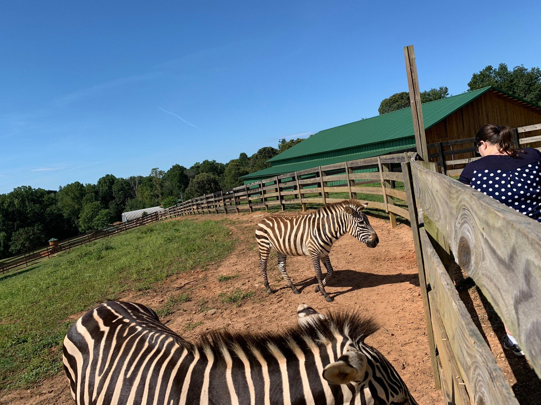 Chestatee Wildlife Preserve & Zoo-达洛尼加必去景点