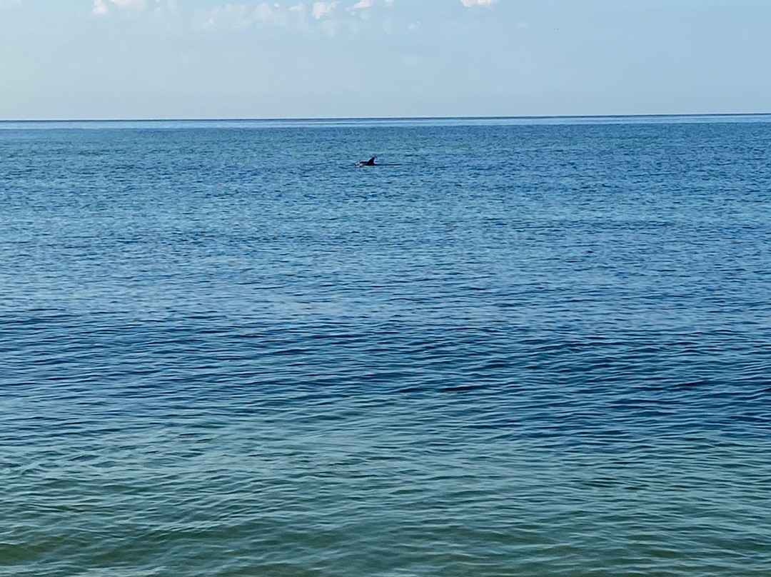 Gulf Shores Public Beach-格尔夫海岸必去景点