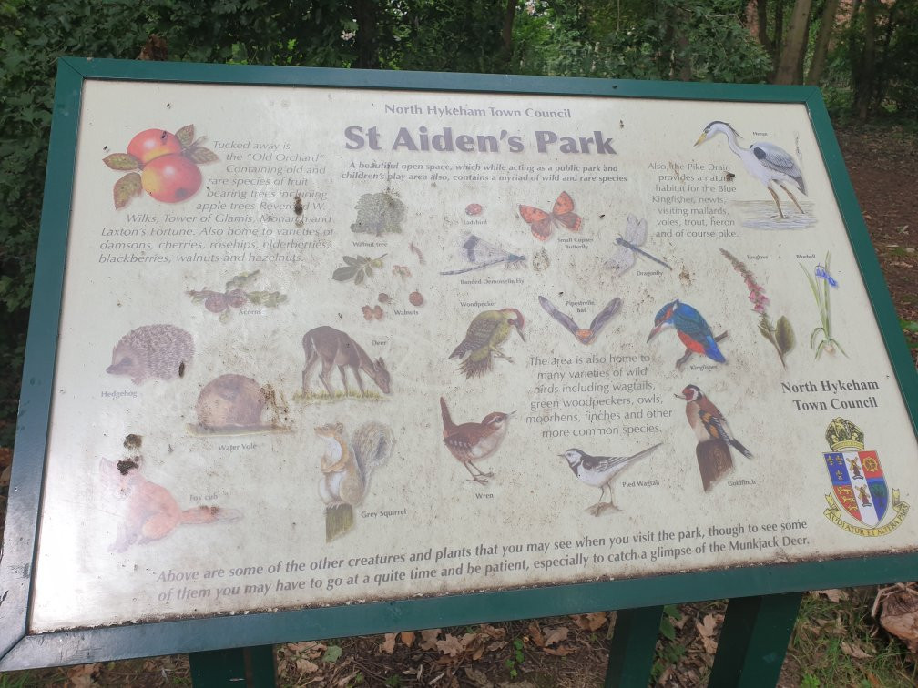 St Aiden*s Park Nature Reserve.景点图片