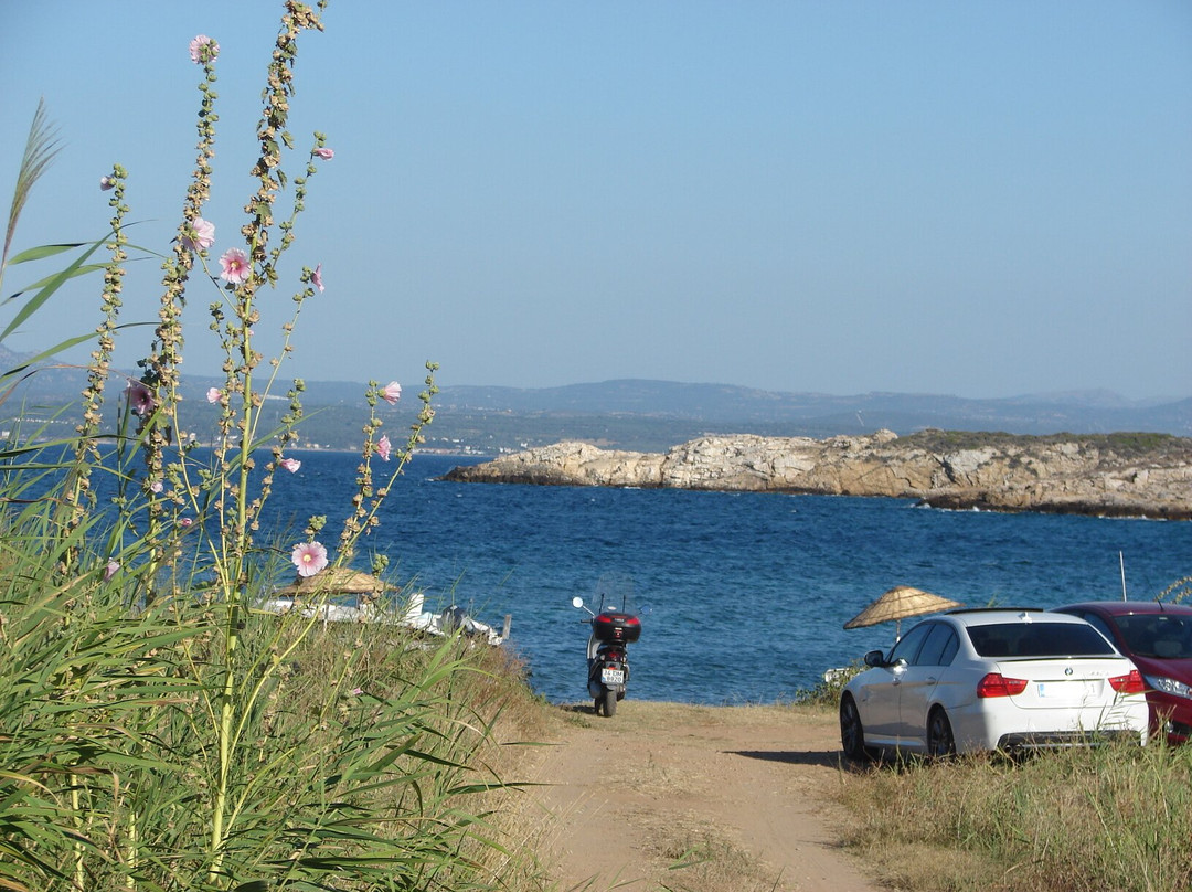 Neco Beach景点图片