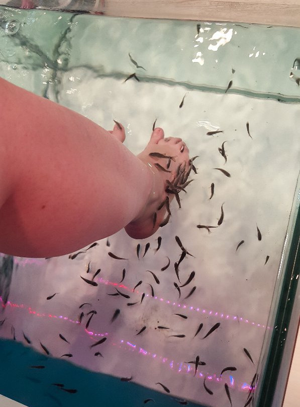 Dottor Fish Rimini-里米尼必去景点