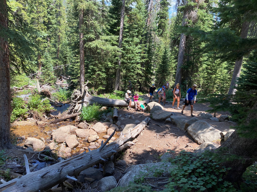 Calypso Cascades-落基山国家公园必去景点