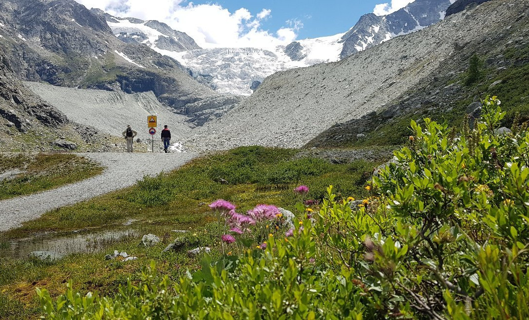 Moiry Glacier景点图片