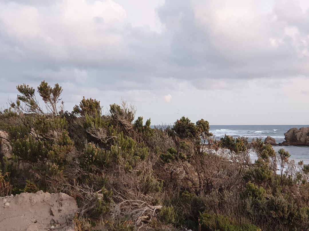 Cape Banks Lighthouse-Carpenter's Rocks必去景点
