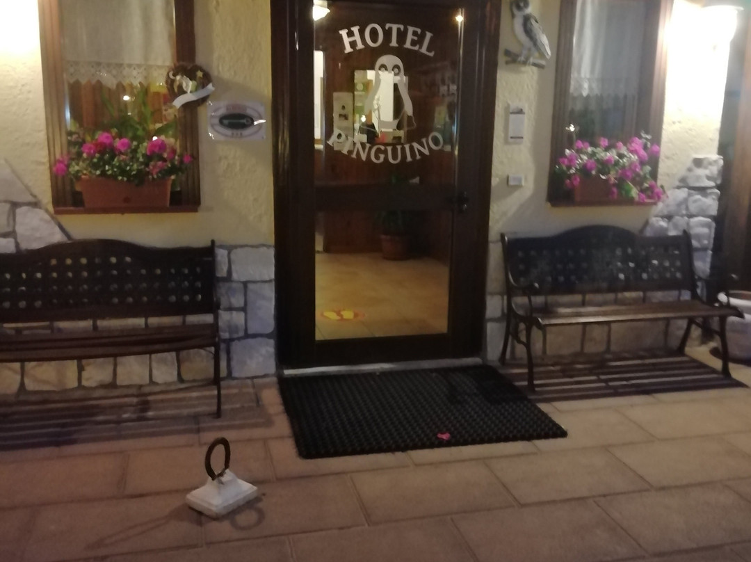 Hotel Pinguino主图