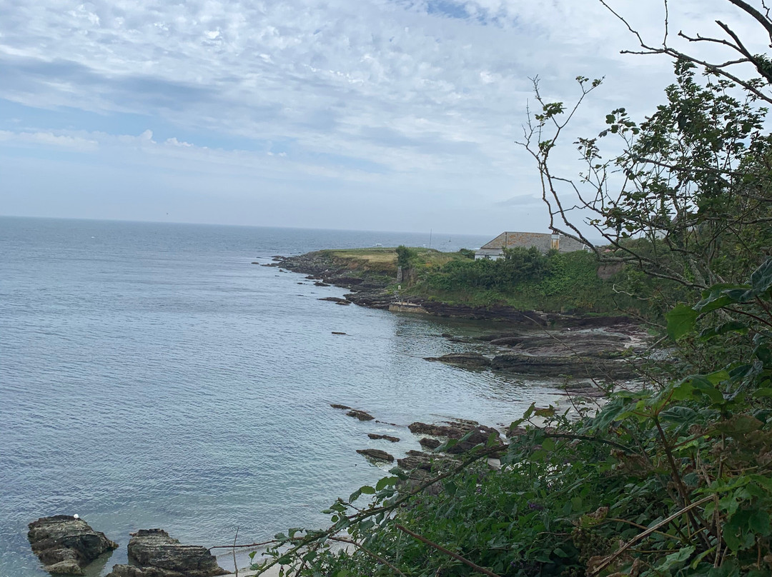 Looe Island-卢城必去景点