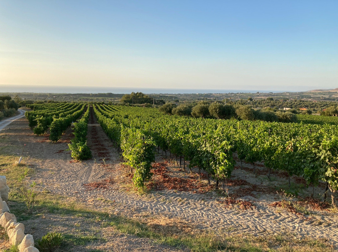 Serra Niedda Resort & Agriturismo主图