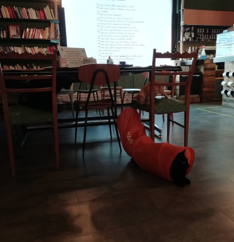 Di cane in gatto-Martignacco必去景点
