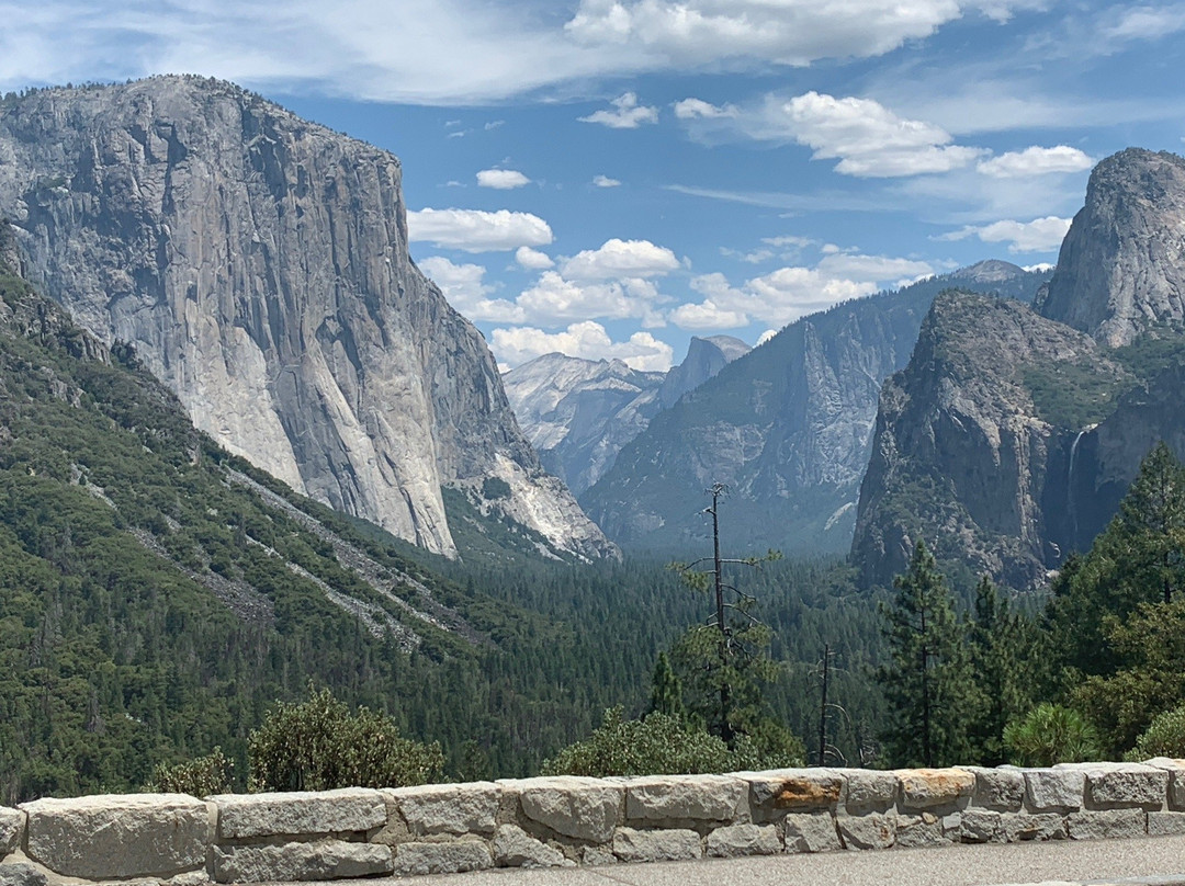 Yosemite Guide Service景点图片