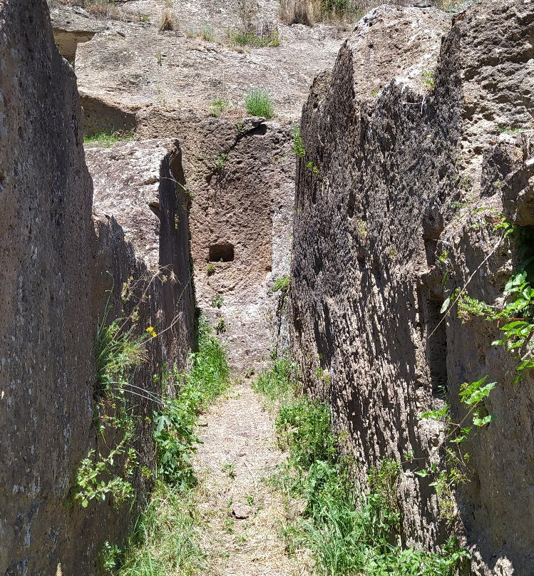 Necropoli Rupestri di San Giovenale e Terrone景点图片