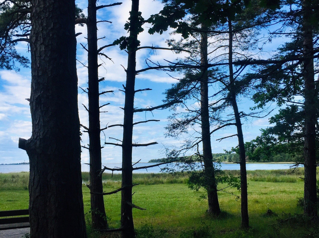 Naturum Trollskogen-Byxelkrok必去景点